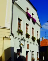 Bylinářství U Husičky